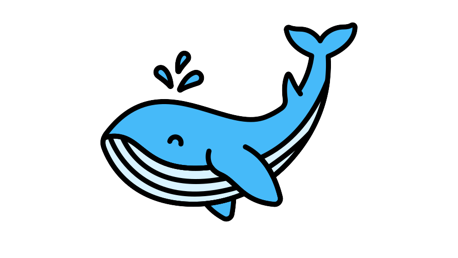 Whale Watching